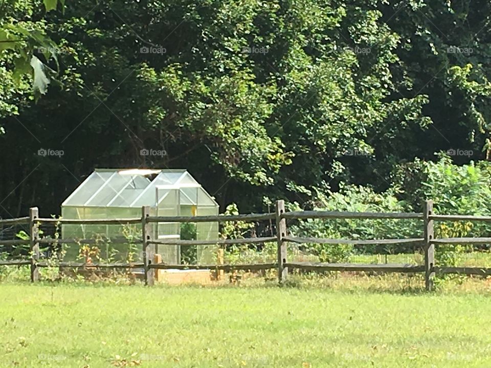 Greenhouse in yard 