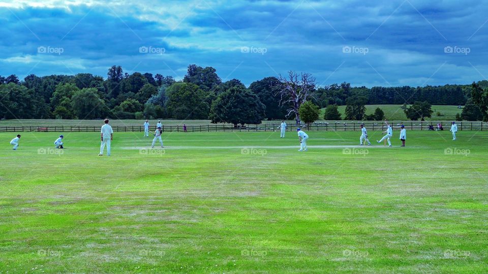 Cricket . Cricket pitch