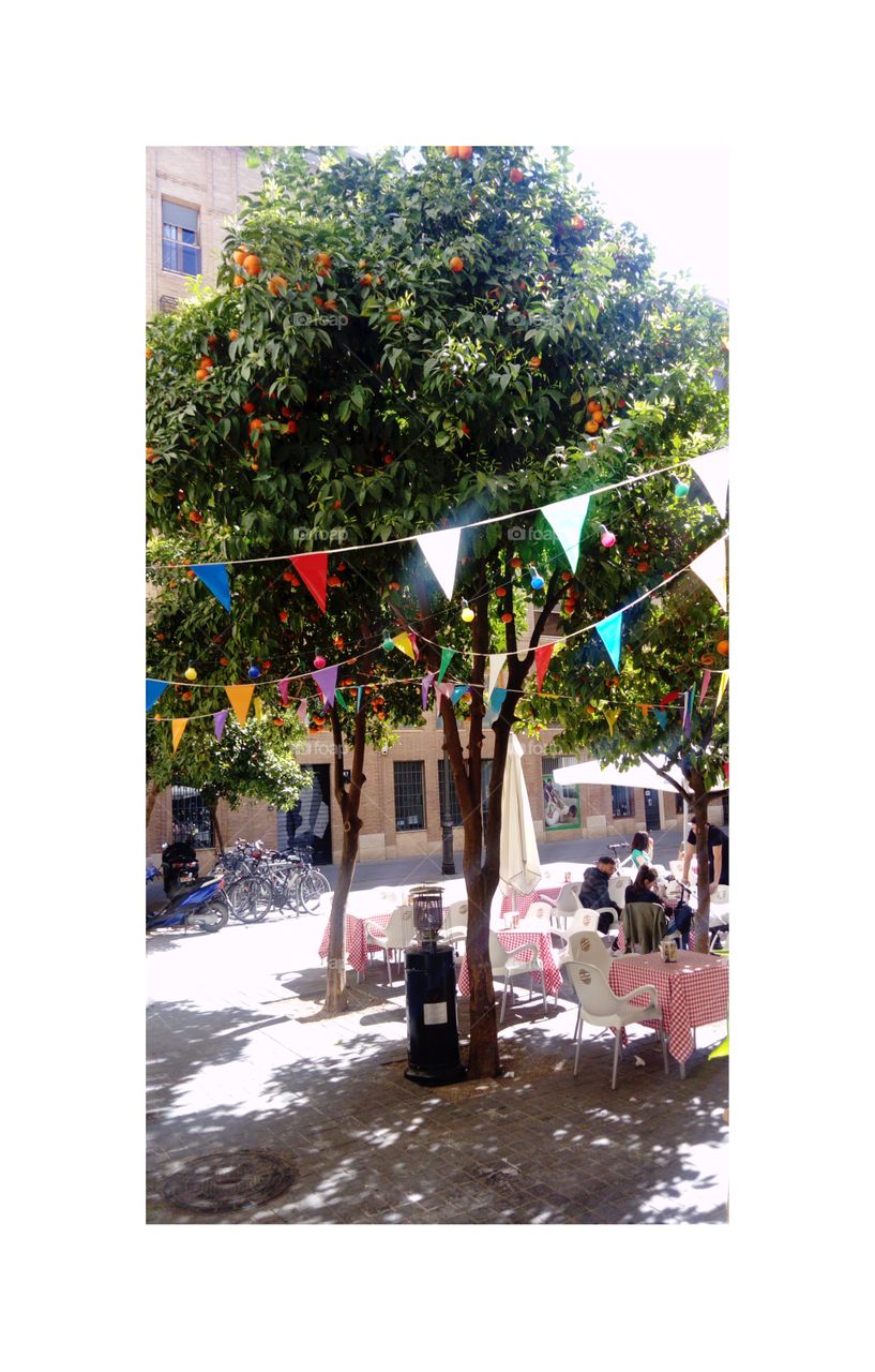 Winter in Valencia, Spain