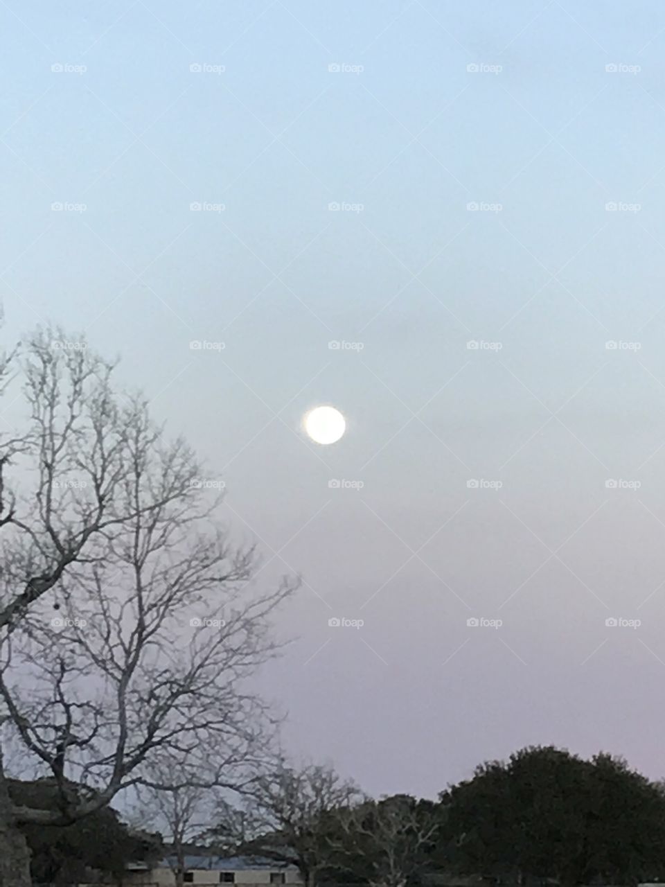 Super Moon Over Texas