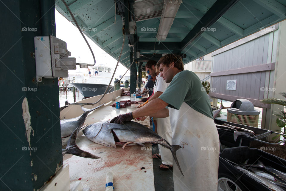 People, Industry, Fish, One, Vehicle