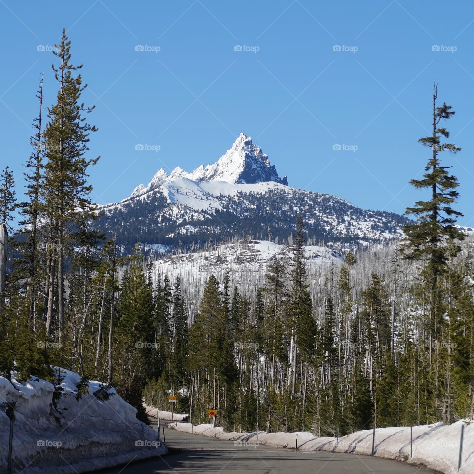 The jagged snow covered peak of Mt. Washington in Oregon’s forests and Cascade Mountain Range against a clear blue sky on a sunny spring day.