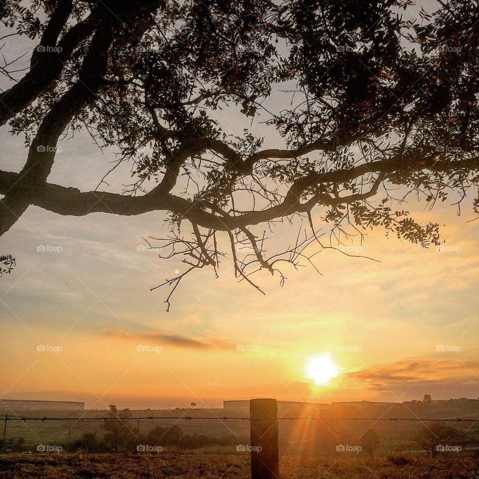 ☀️#Sol (sim, uma “ameaça de”) muito inspirador - ainda que esteja tímido - de #natureza e #beleza indescritíveis!
Obrigado, #MãeTerra (ao menos por alguns minutos). 