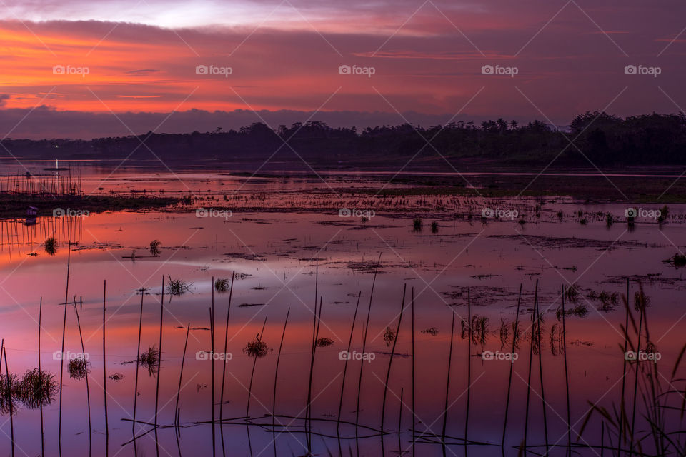 natural landscape sunset at the lake