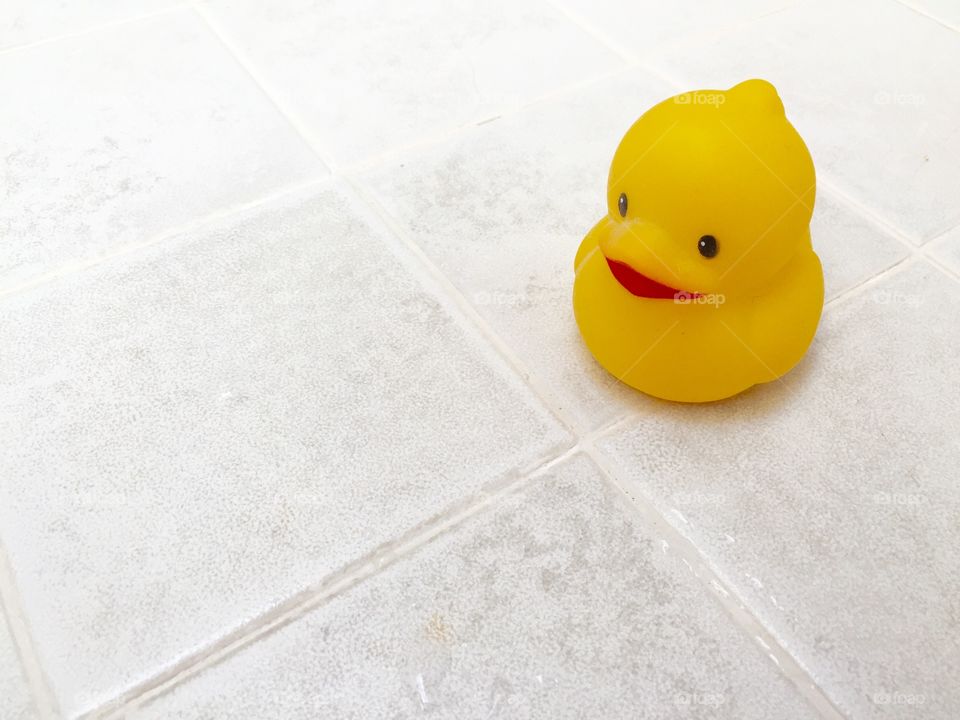 My duck