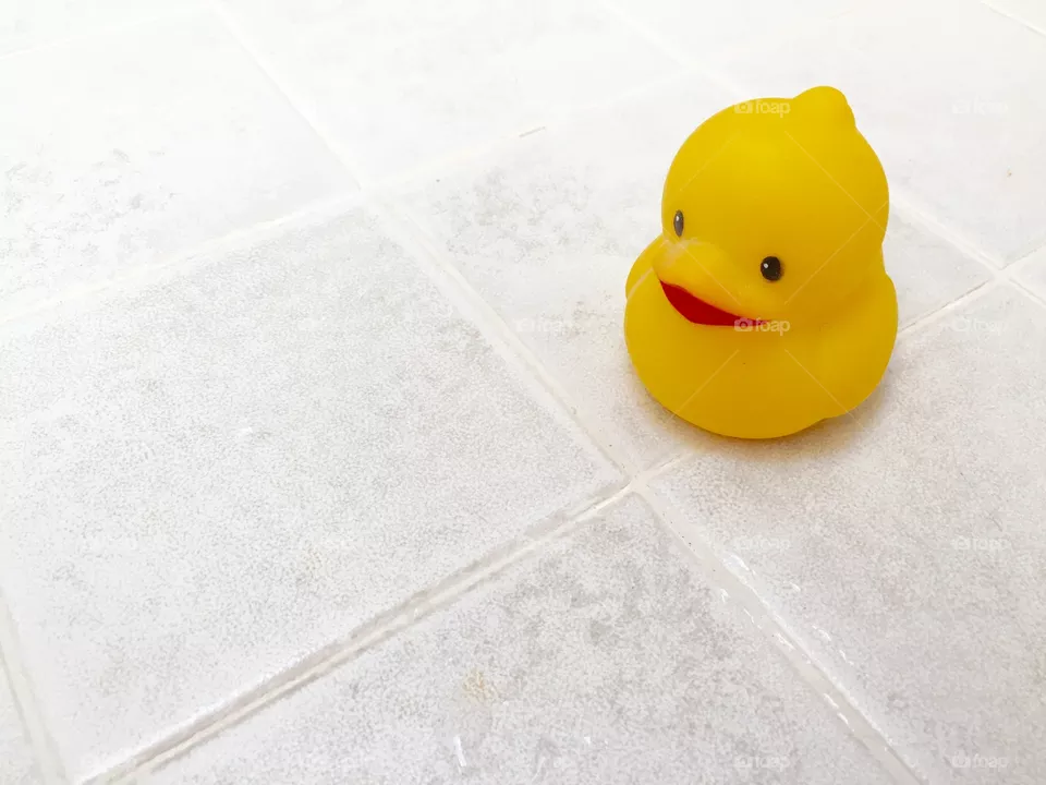 My duck