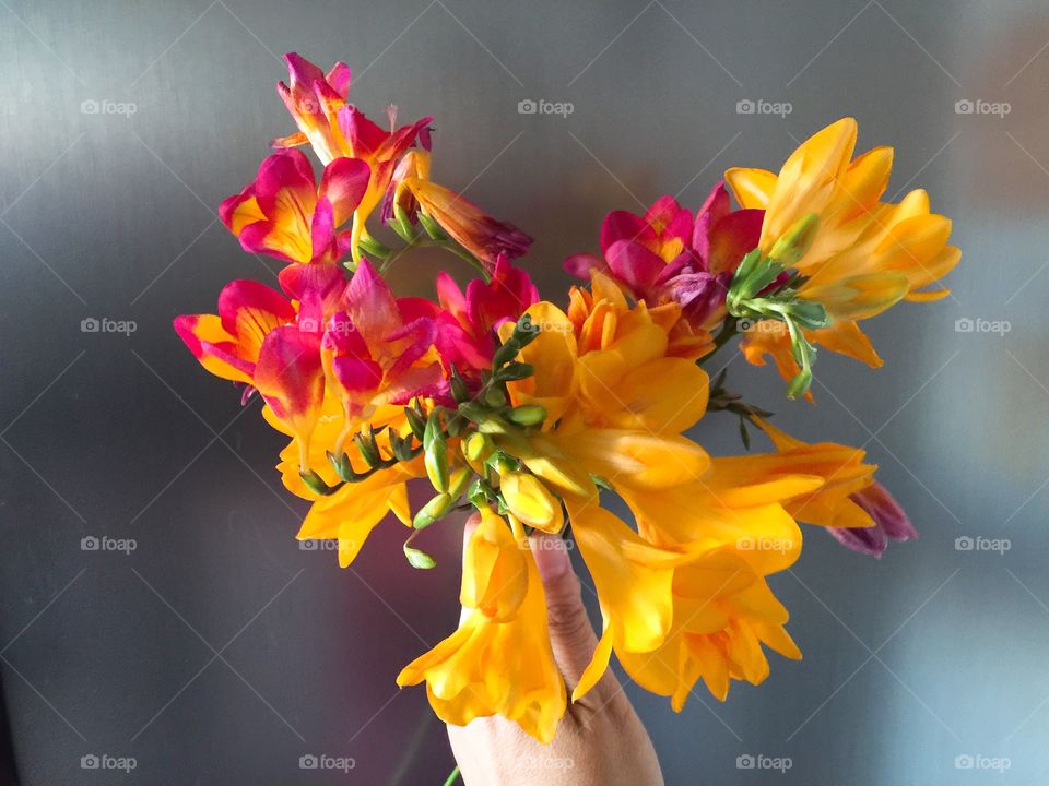 Bouquet