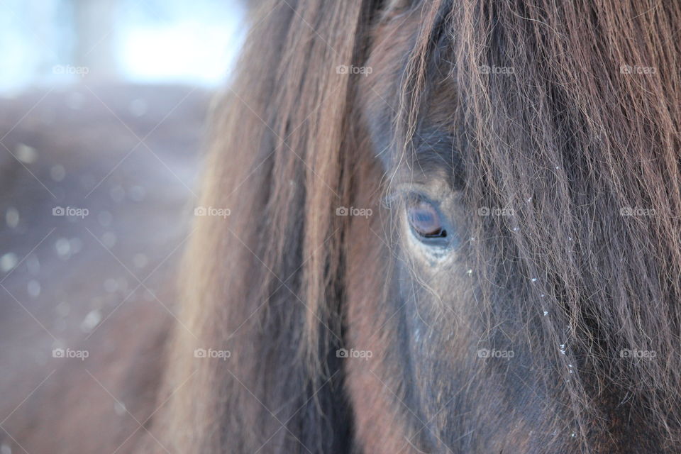 On the ranch