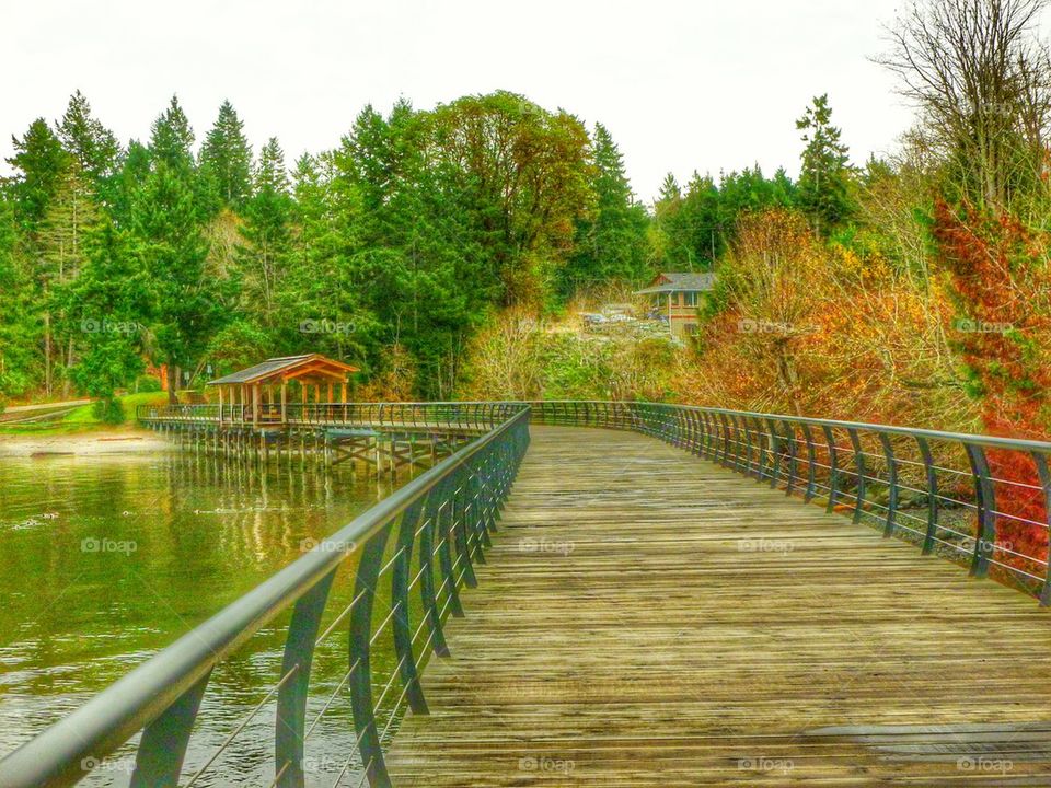 Boardwalk in Crofton