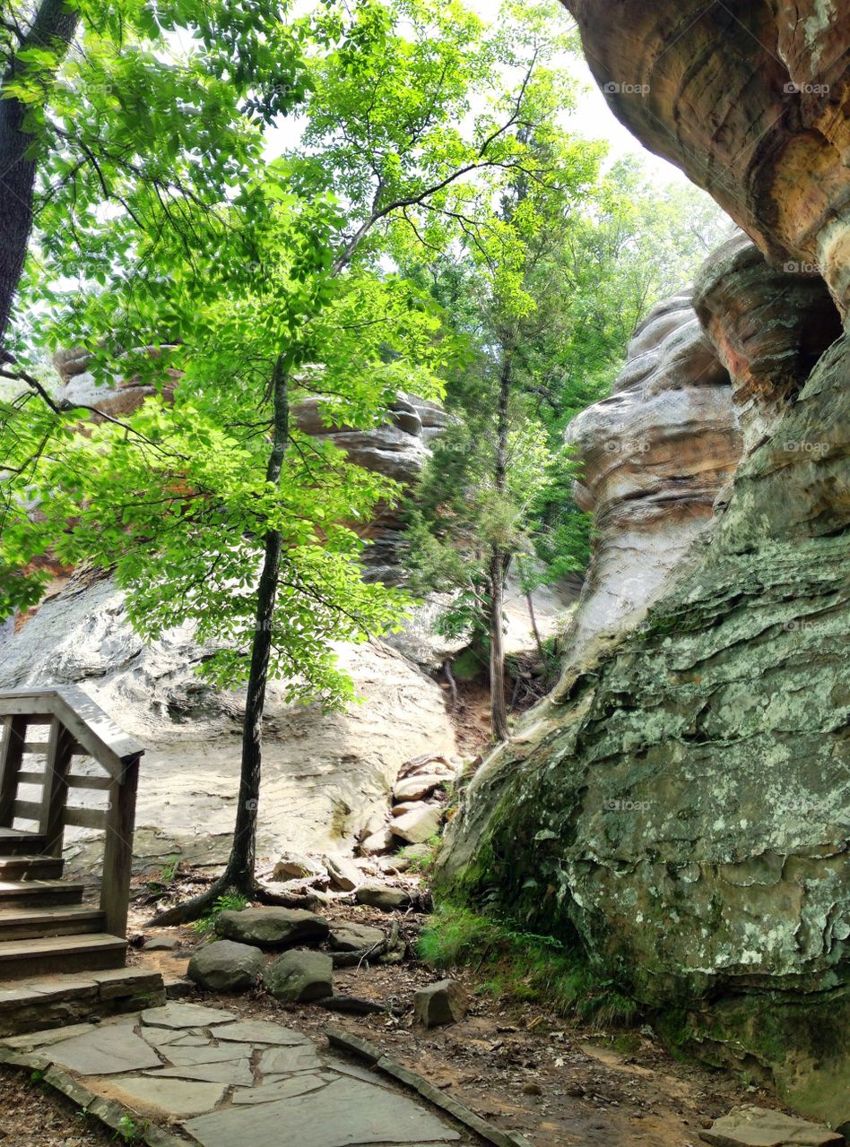 Shawnee national park  