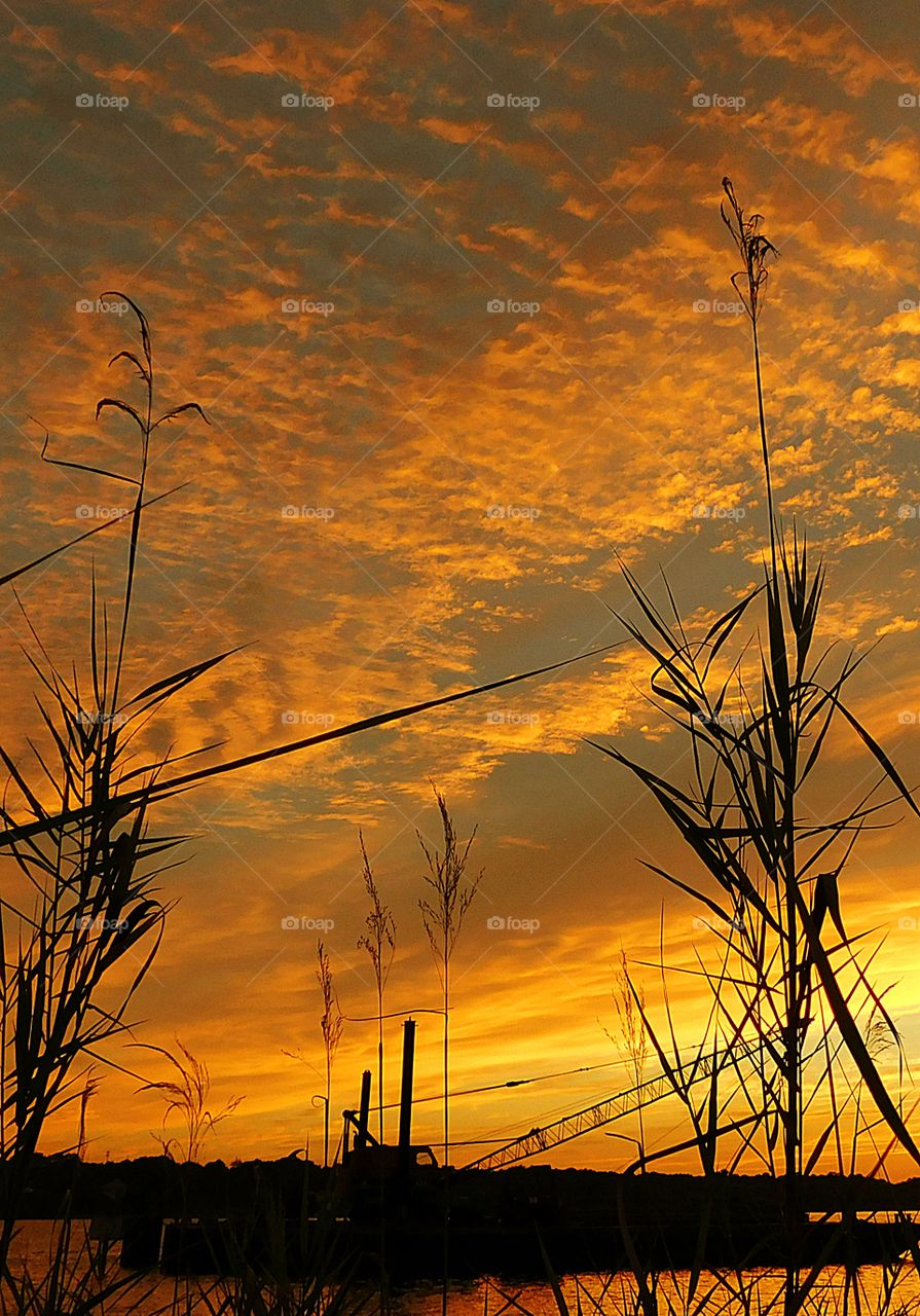 Brilliant streaks of yellow, orange, gold, overcome the spacious sky. The sky resembled a prism; all the colors blended perfectly together. It's as if the colors and intensity of the light is just right! 