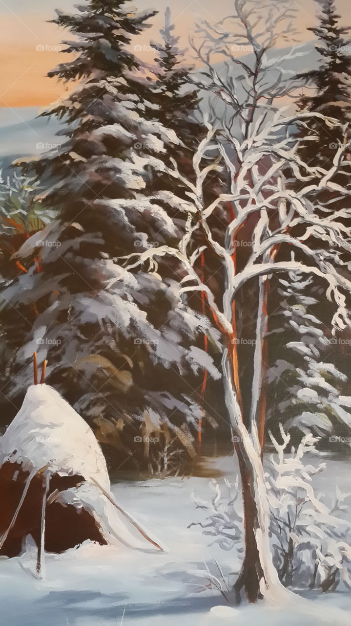 Close-up of branches in winter