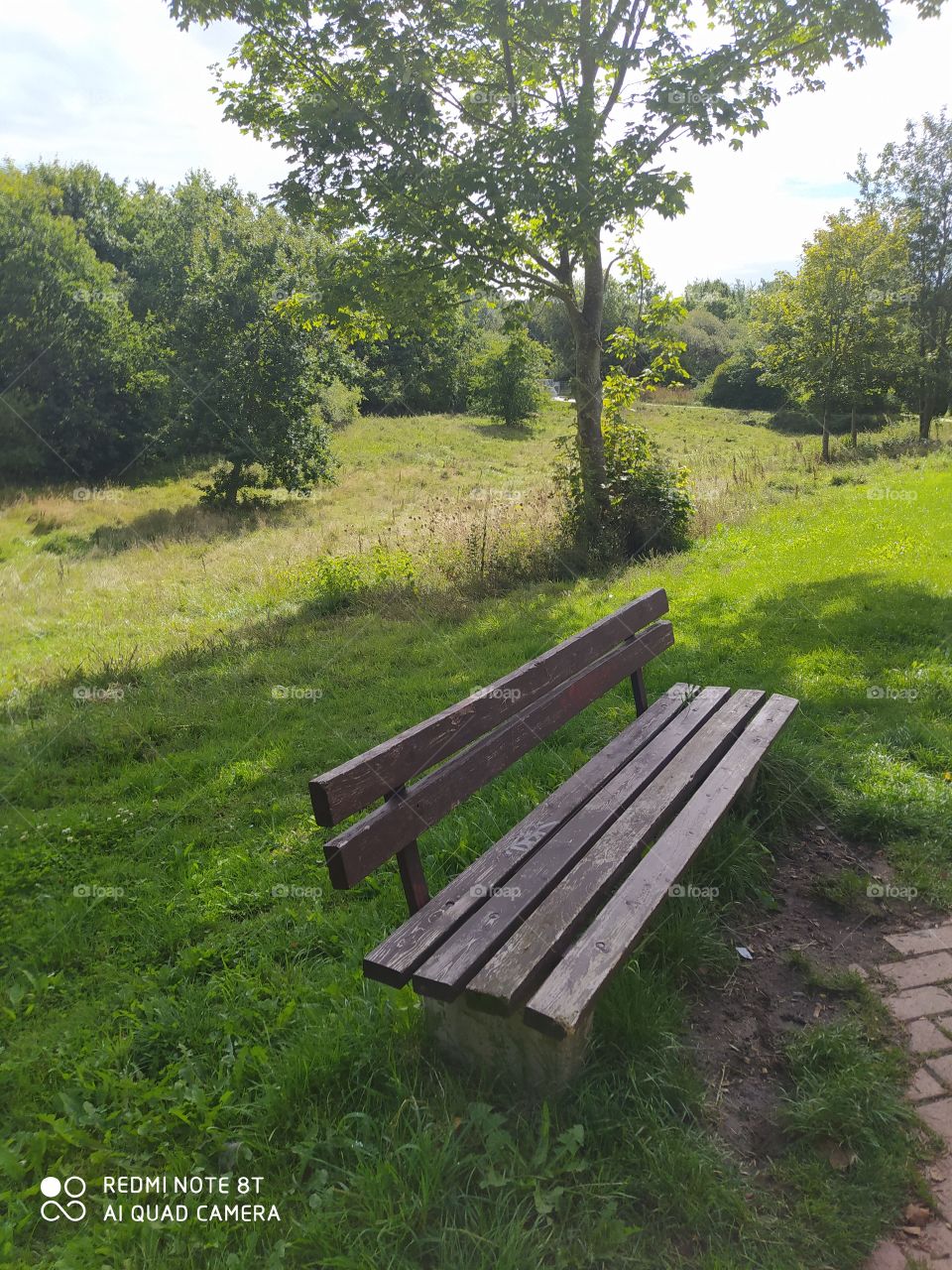 park bench