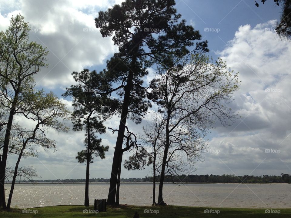 Scenic view of nature