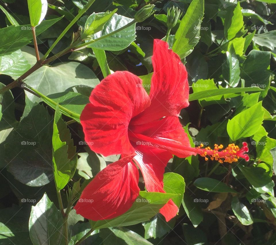 You deserve more all the best