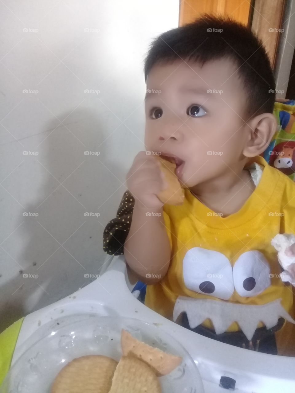 a baby eating biscuits