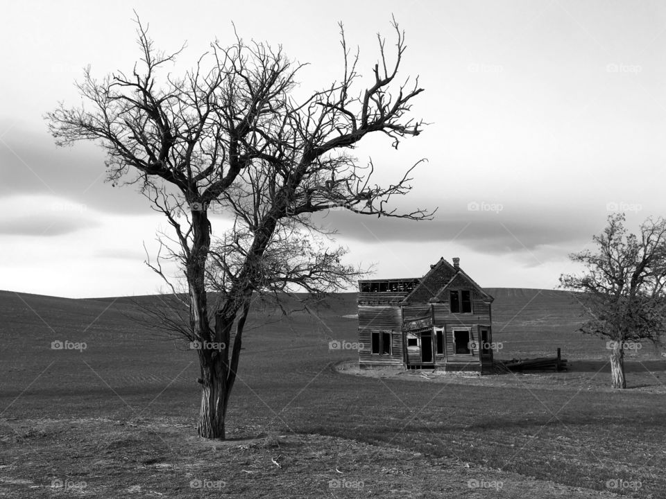 Abandoned farmhouse outside The Dalles, OR