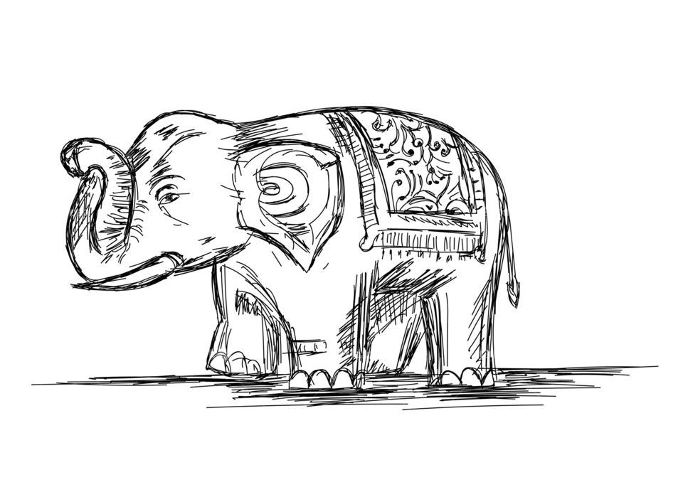 Indian elephant handmade vector illustration