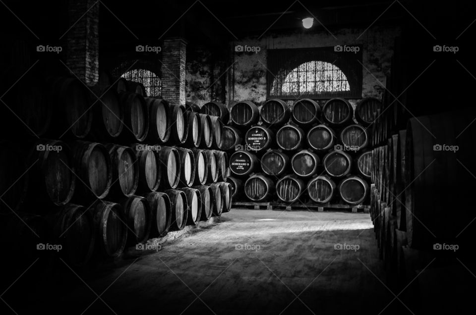 wine Barrels on Line . From a Sherry producer in Jerez, Spain
