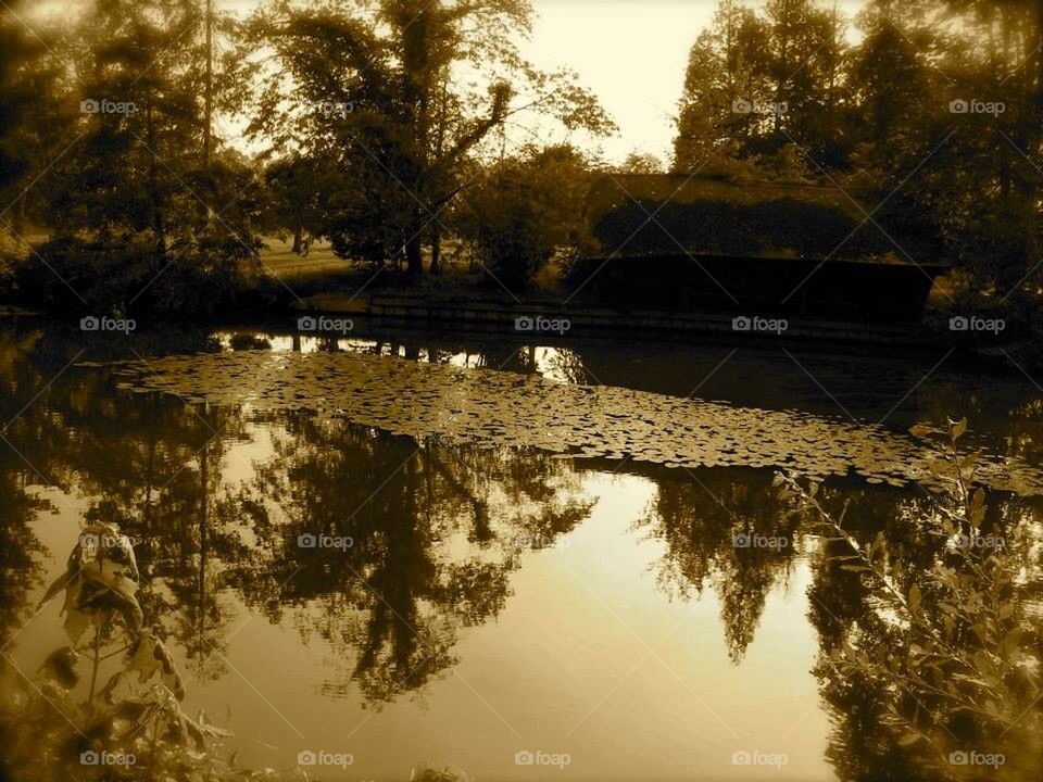 The Seine at Connelles