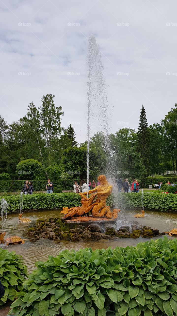 Fountain at Peterhof Palace (Петерго́ф), Saint Petersburg, Russia