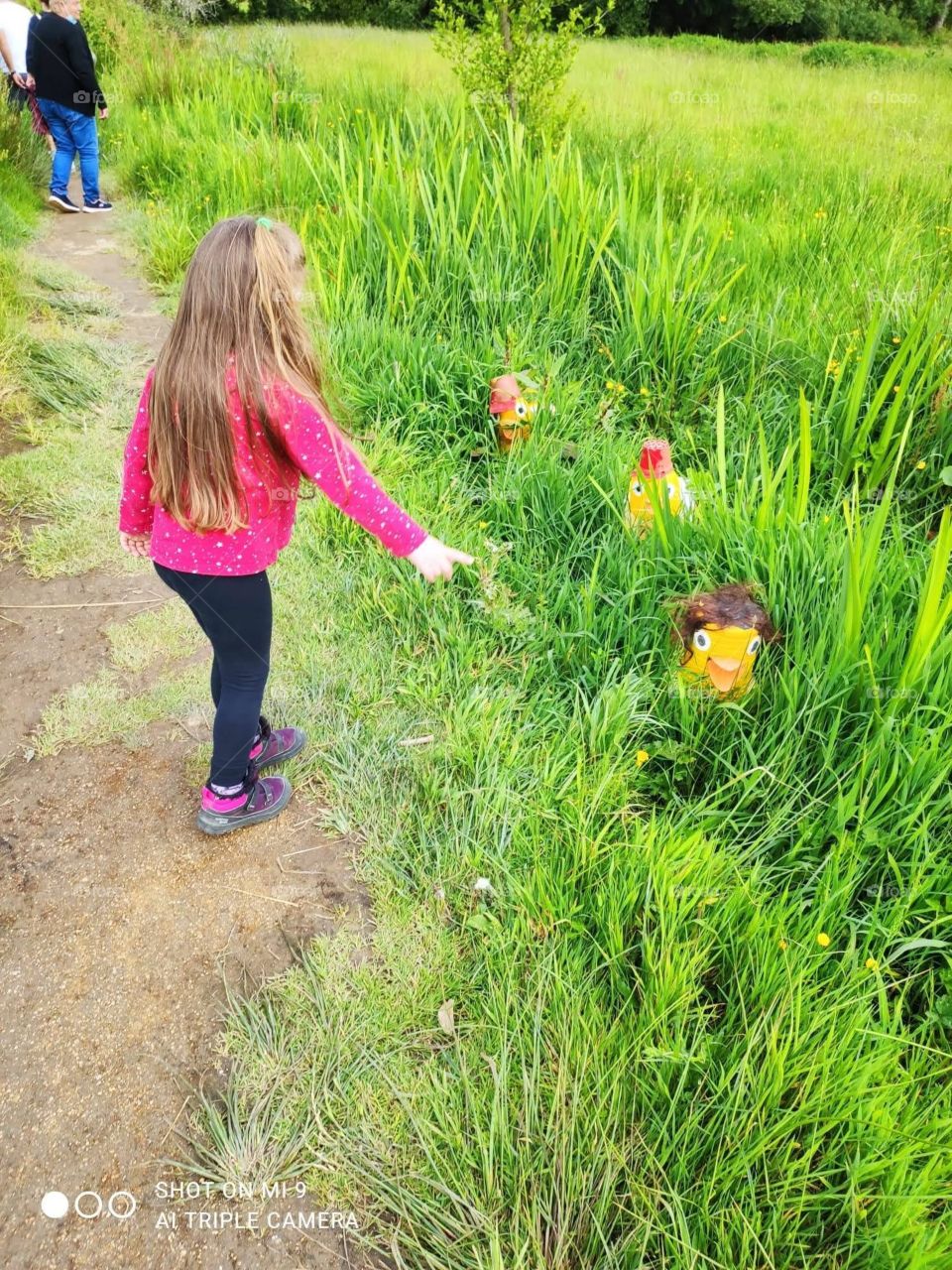 buscando hormigas coloridas