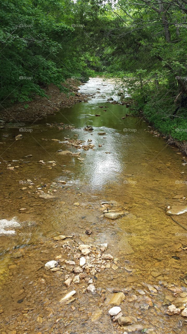 Country Stream. Under the bridge