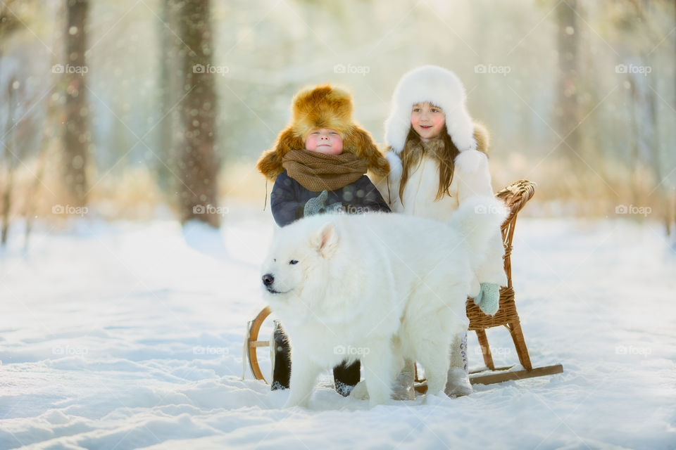 Children playing with the Samoyed dog at cold winter day