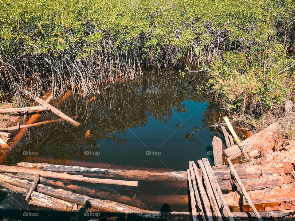 Rio da japara em cumuruxatiba Bahia Brasil 