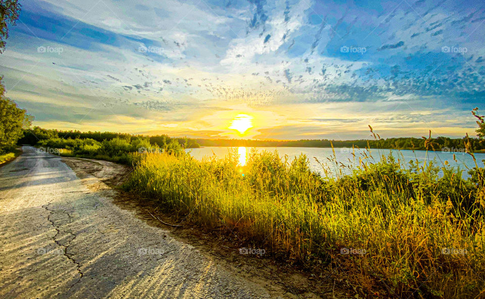 Golden sunrise or sunset sun in a dramatic colorful sky throwing shadows on the ground from the lush green grass