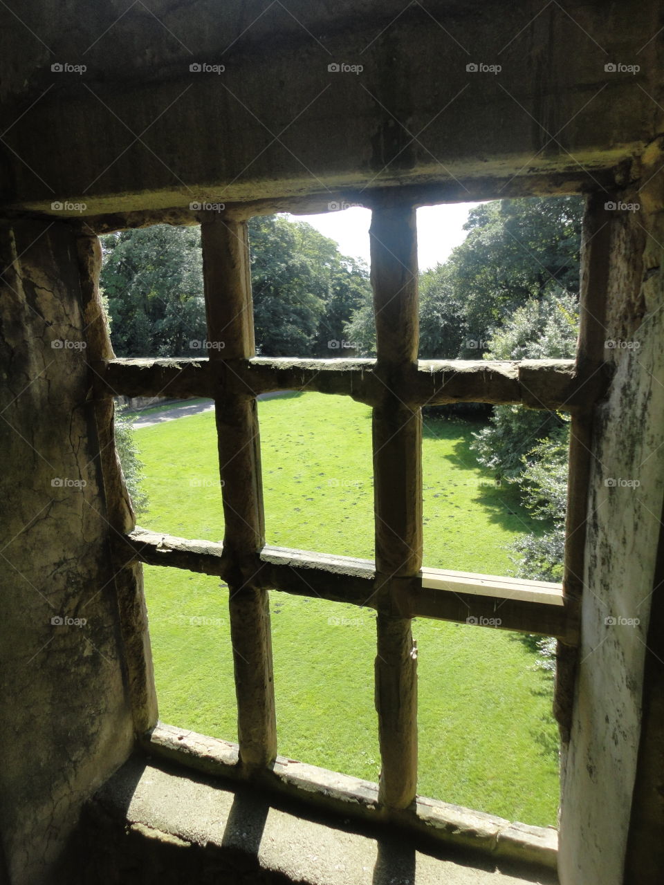Old window with a view