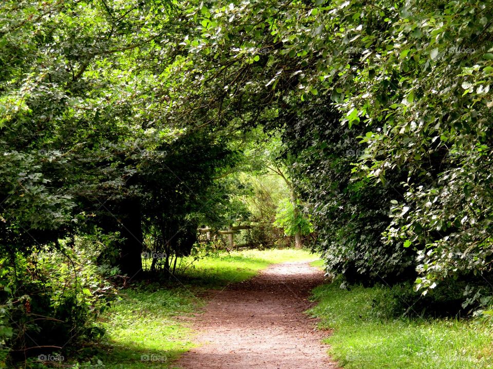 green arch