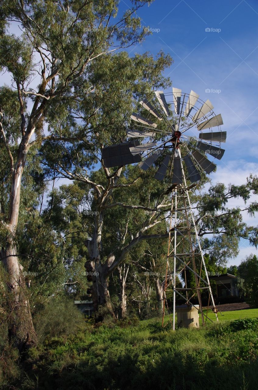Windmill in Mildura
