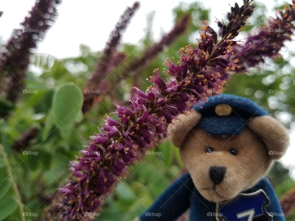 Flower and Teddy Bear
