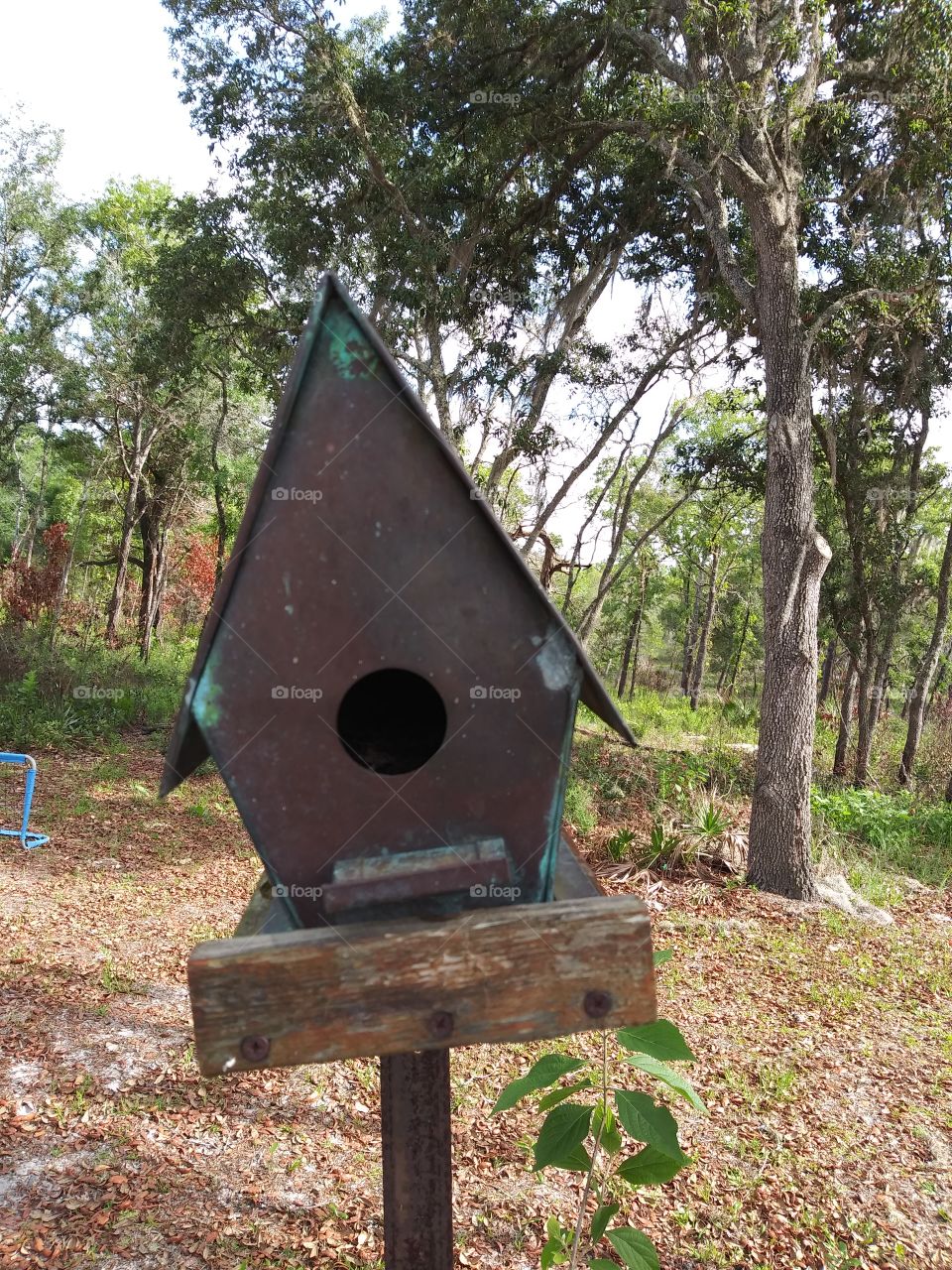 Bird house