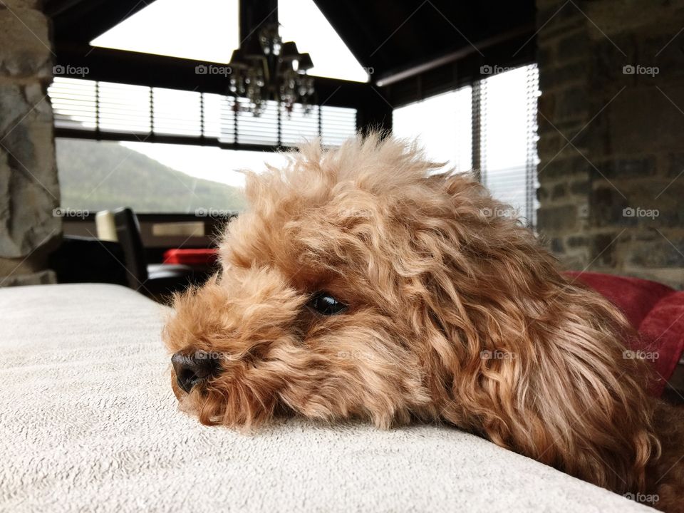 Windows view 🌾🍃