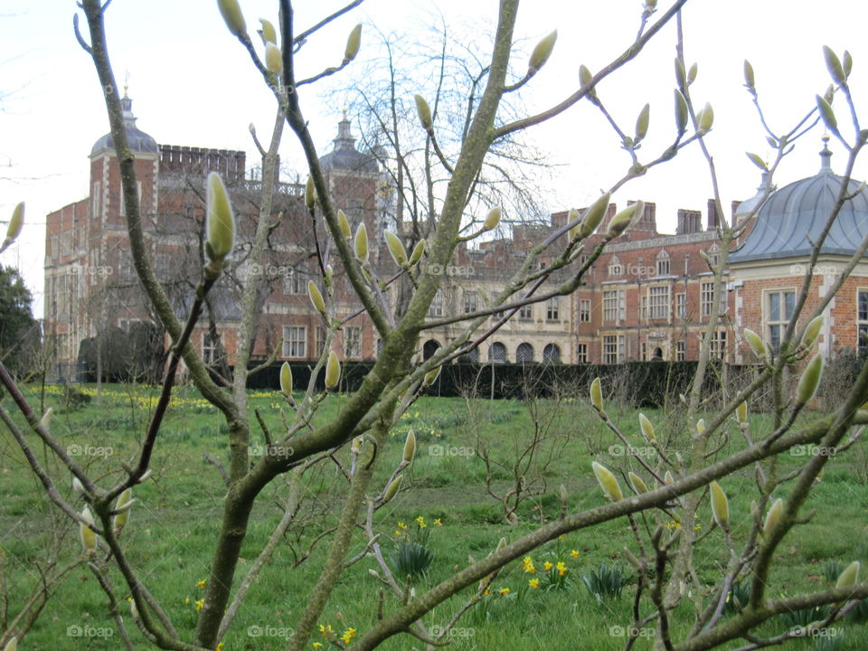 Tree, Architecture, Building, No Person, House