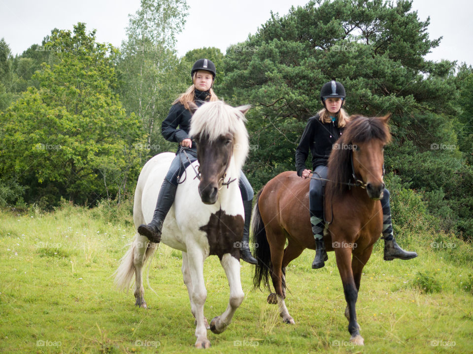 #häst #horse #islandshäst #ryttare #hästtjej #ridning #riding #horsebackriding #barbacka #Lumix Barbackaridning #trav #galopp #skritt #skritta #träns #sommar #sverige #svensksommar #sommarlov #stockholm #sweden #swedishsummer #summer 