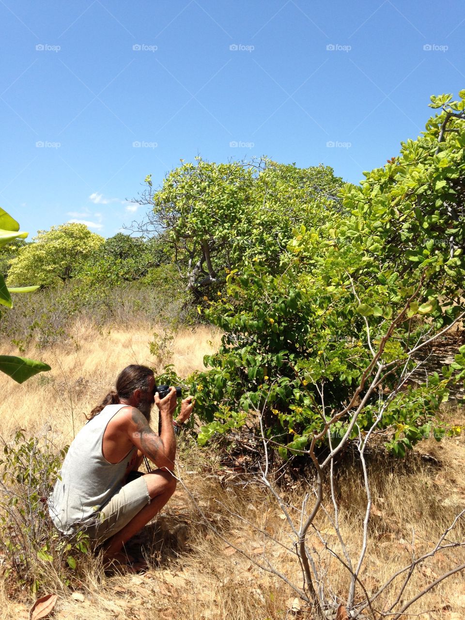 Photographing nature