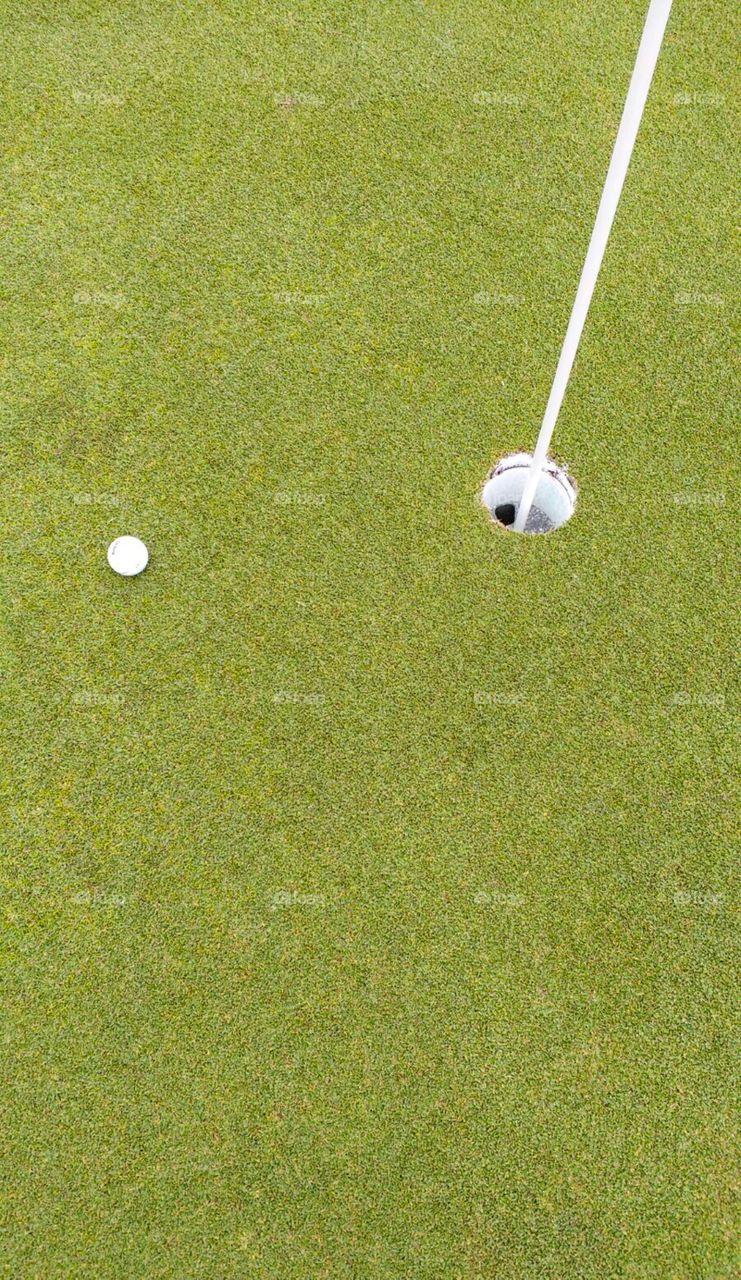Putting green near hole on golf course golf green