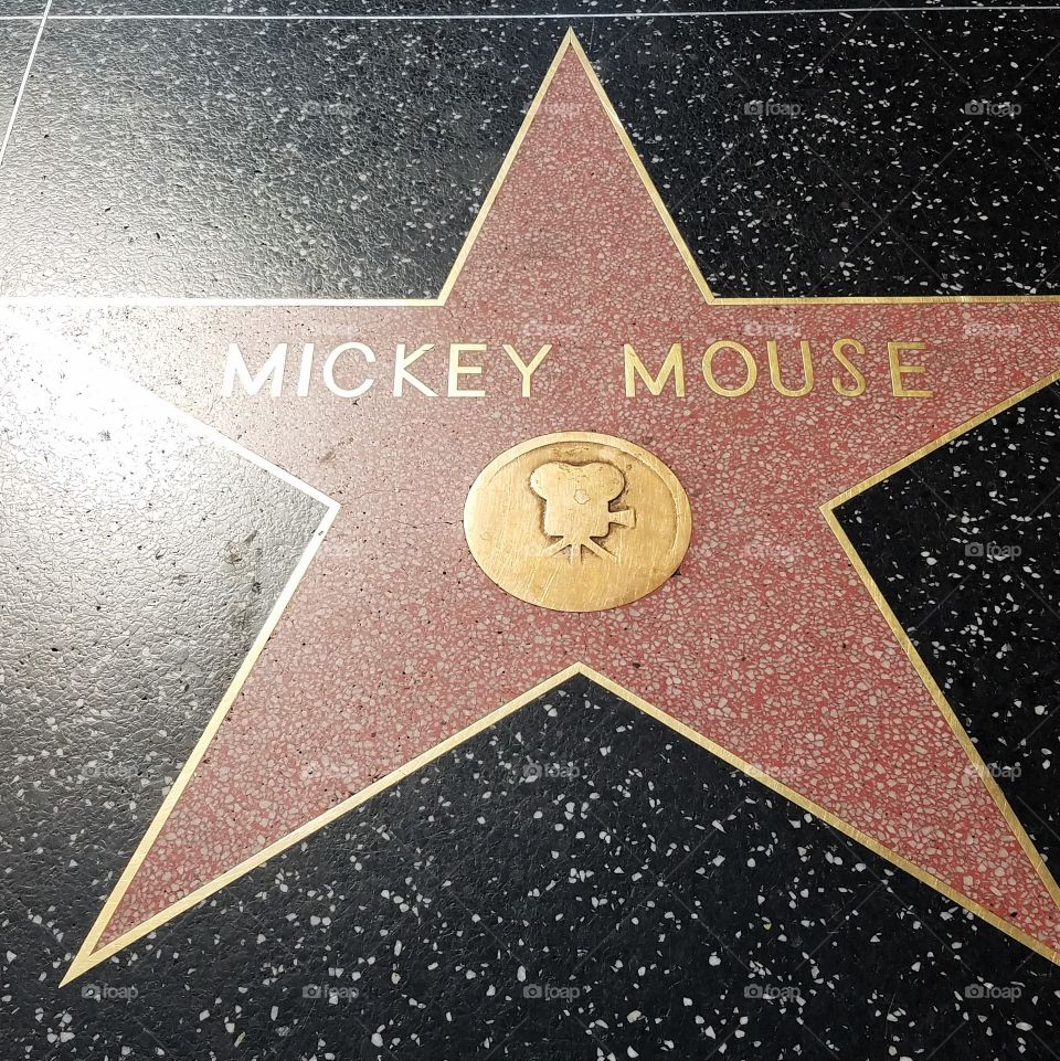 Mickey mouse star on a walk of fame alley