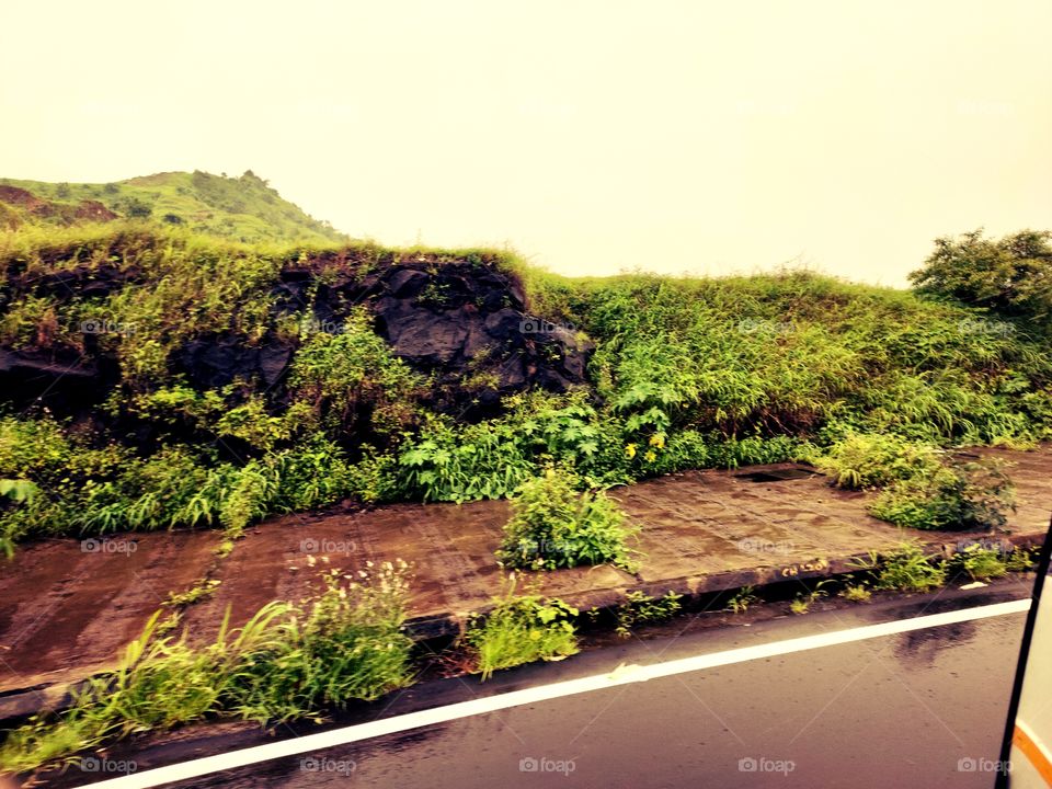 Pleasent Hill View
Rainy Weather ☔☁️

👁️👁️📷👁️

Awesome Beauty of Flora🌱🍀🍀