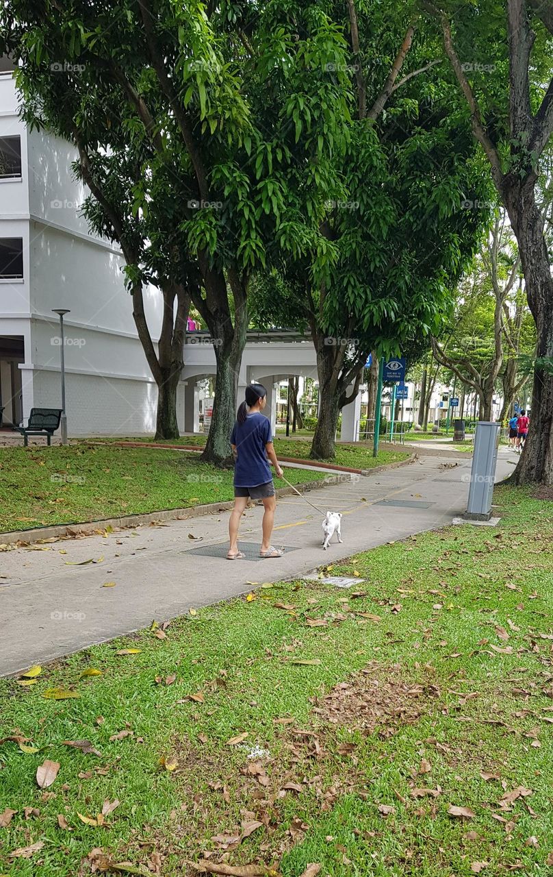 women walking outside along with dog