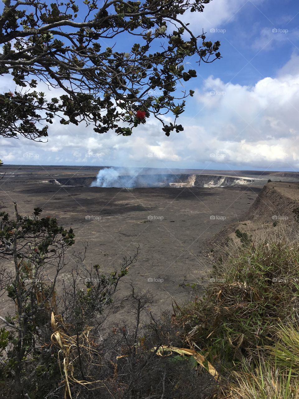 Hawaii Volcanoes National Park
