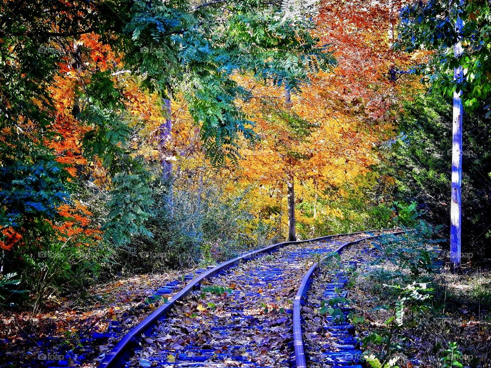 A beautiful fall day on the old railroad tracks in Indiana 