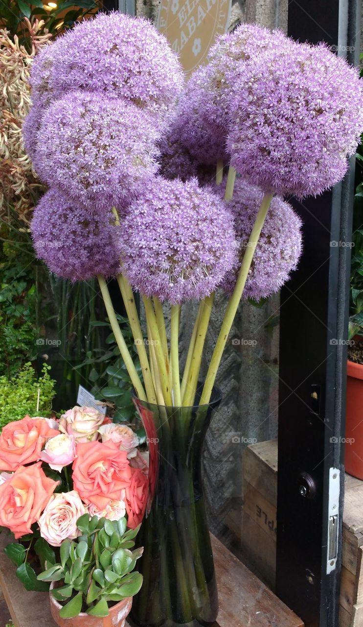 Flowers in a Vase