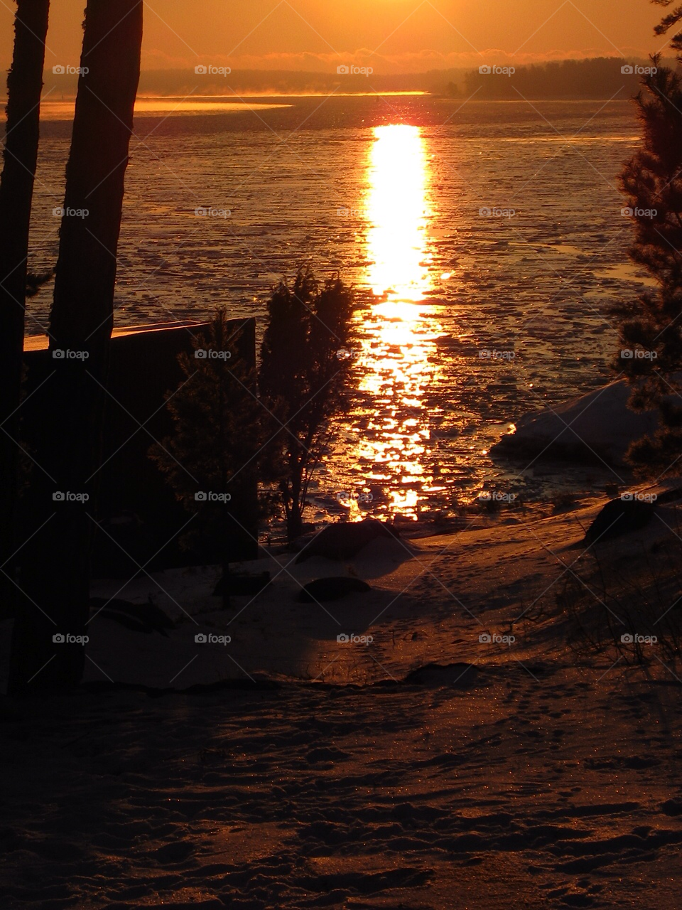 snow mountain tree sunset by Tuvezz