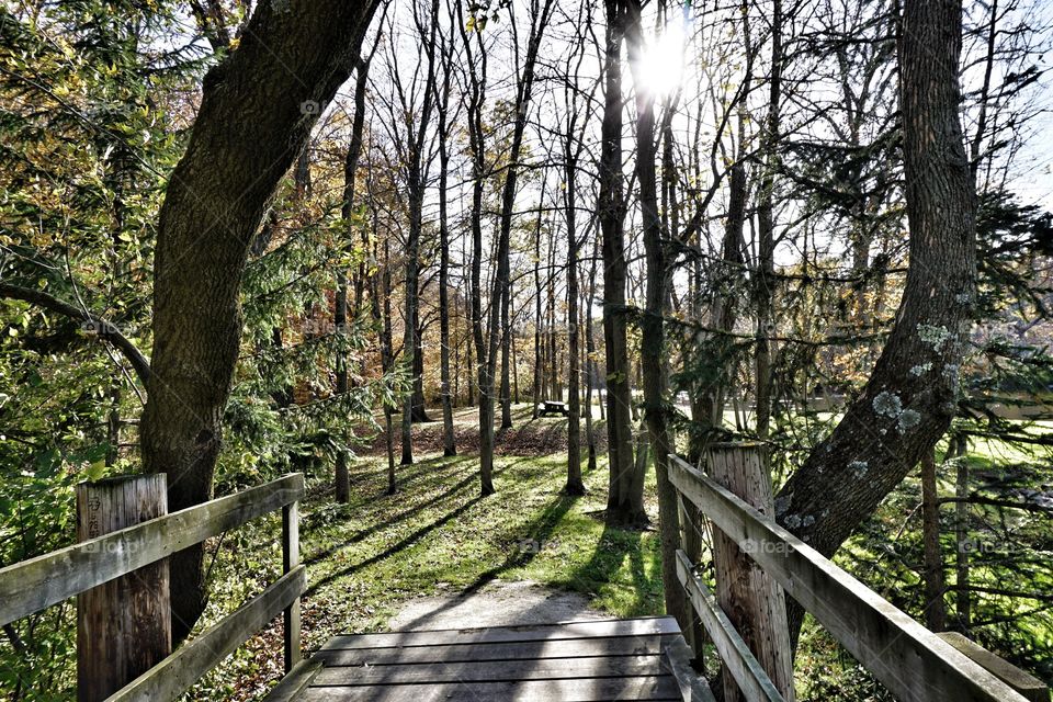 Park in Autumn