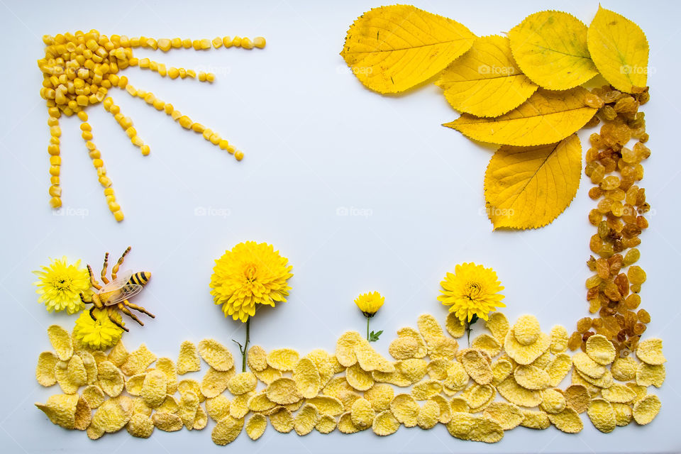 a picture of flowers, leaves and fruits of yellow color
