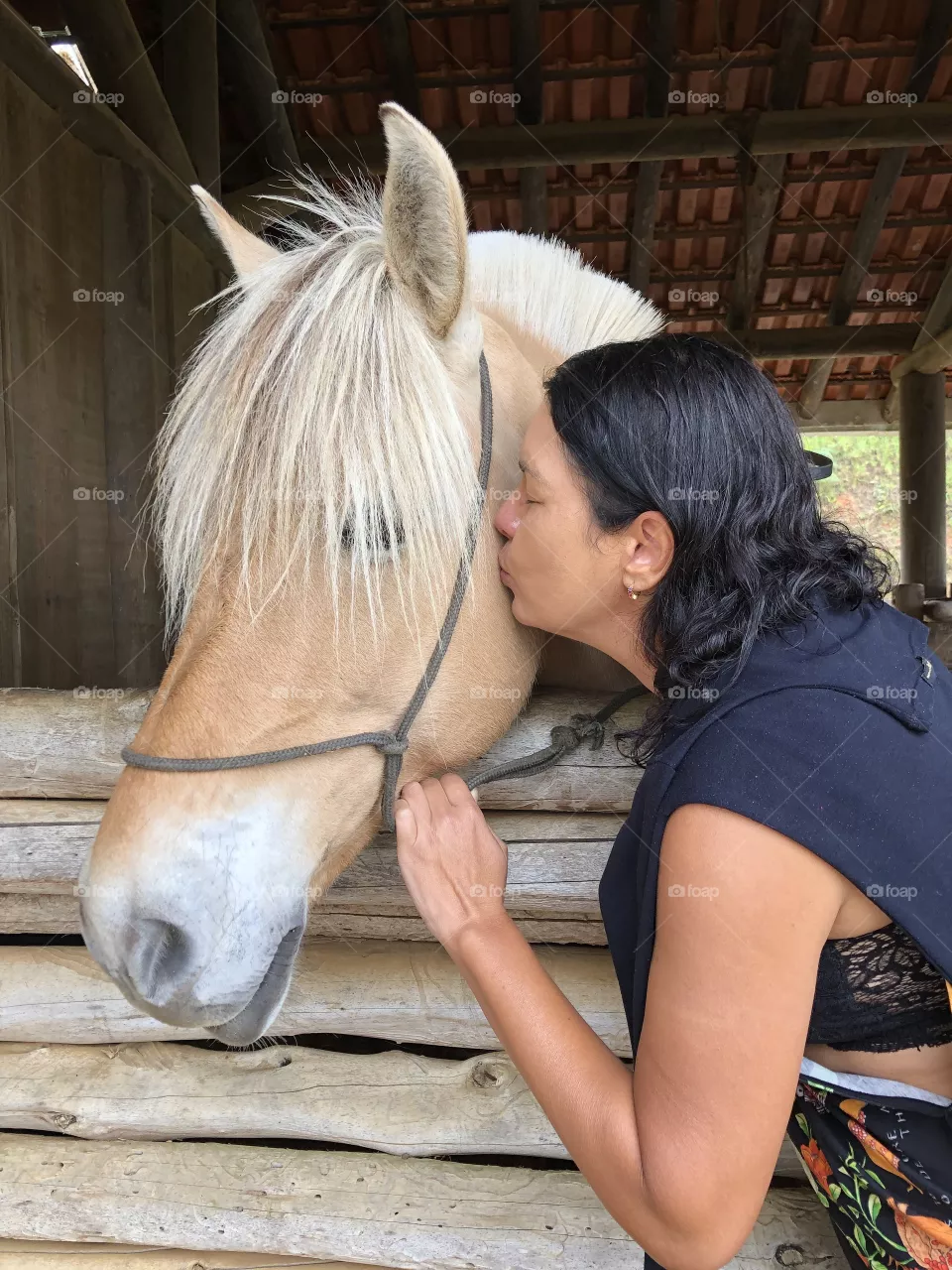 Cavalo .